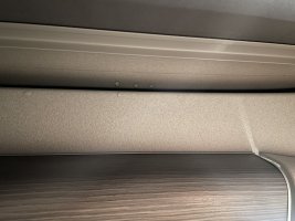 IMG_7080.jpeg