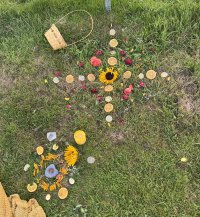 IMG_3523.jpeg