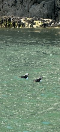 IMG_3422.jpeg