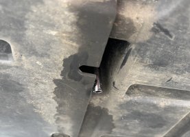 IMG_6953.jpeg