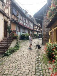 IMG_9296.jpeg
