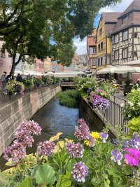 IMG_9315.jpeg