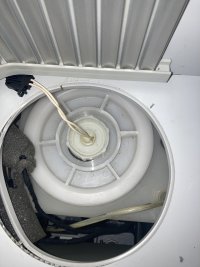 IMG_3086.jpeg