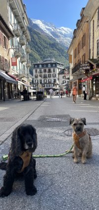 IMG_9510.jpeg