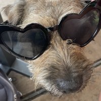 IMG_9644.jpeg