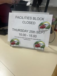 IMG_2099.jpeg