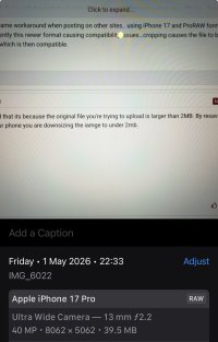 IMG_6024.jpeg