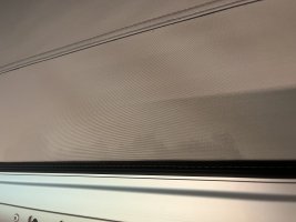 IMG_2447.jpeg