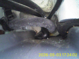 Image_2026-05-03 17_24_02_442.png