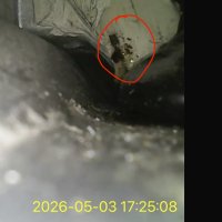 IMG_7532.jpeg