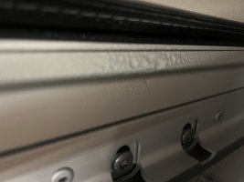 IMG_2453.jpeg