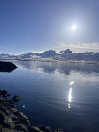 IMG_8461.jpeg