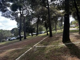 IMG_4369.jpeg