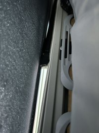 IMG_2385.jpeg