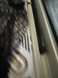 IMG_2379.jpeg