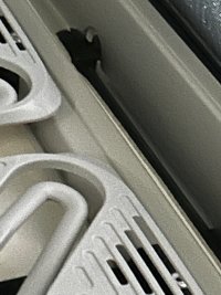 IMG_2383.jpeg