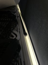 IMG_2387.jpeg