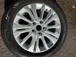 IMG_9592.jpeg