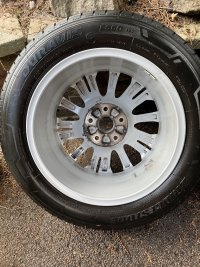 IMG_9587.jpeg