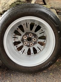 IMG_9586.jpeg