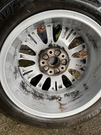 IMG_9595.jpeg