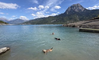IMG_2349.jpeg