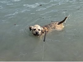 IMG_1282.jpeg