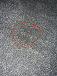 IMG_9624.jpeg