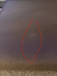 IMG_9628.jpeg