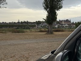 IMG_5585.jpeg