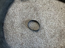 IMG_0157.jpeg