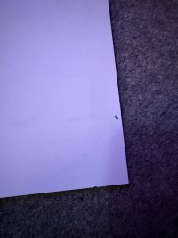 IMG_9416.jpeg