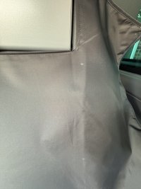 IMG_9523.jpeg