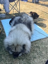 IMG_6839.jpeg