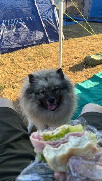 IMG_6791.JPG