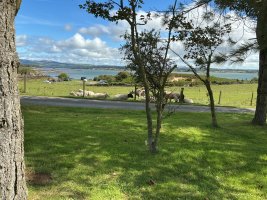 IMG_0164.jpeg