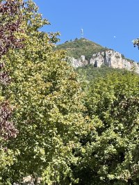 IMG_1014.jpeg