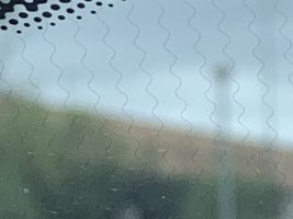 IMG_2225.jpeg