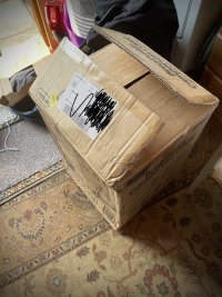 IMG_8824.jpeg