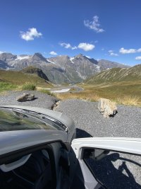 IMG_8554.jpeg