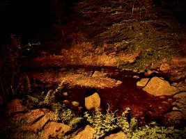 IMG_1278.JPEG