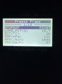 IMG_2820.jpeg