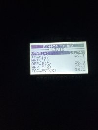 IMG_2822.jpeg