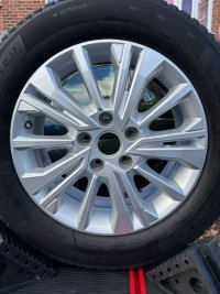 IMG_3268.jpeg