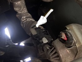 IMG_1335.jpeg