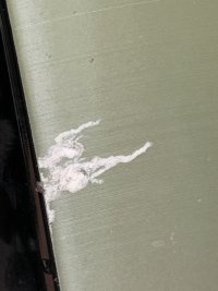IMG_1613.jpeg