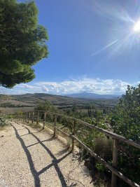 IMG_8660.jpeg