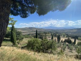 IMG_8658.jpeg