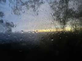 IMG_2813.jpeg