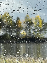 IMG_7419.jpeg